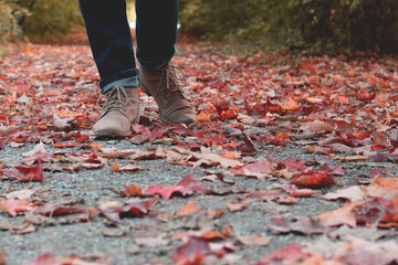 Woman’s feet in jeans and ankle boots walking in a park in autumn
