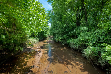 Fototapeta na wymiar Four Mile Creek on the Four Mile Creek Greenway Trail, Charlotte, North Carolina