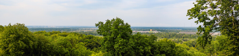 Panoramic view of the green trees and edge of the city from above.