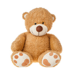 Soft toy for kids teddy bear, isolated on a white background, for boys and girls