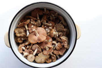 Fresh raw mushrooms in a pan on a white table. Top view.
