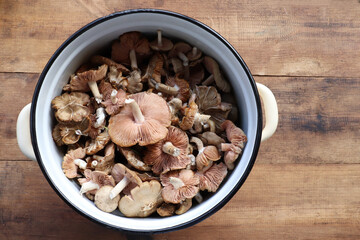 Fresh raw mushrooms in a pan on a wooden table. Top view.