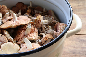 Fresh raw mushrooms in a pan on a wooden table. Top view.