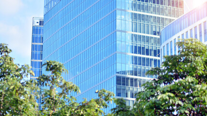Obraz premium Eco architecture. Green tree and glass office building. The harmony of nature and modernity. Reflection of modern commercial building on glass with sunlight. 
