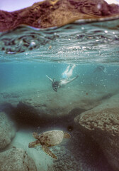Snorkeling with Sea Turtles in Hawaii 