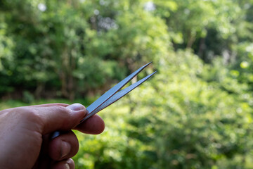 Male hand with tweezers in front of natural green background