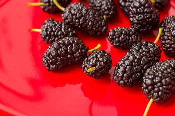 Ripe large black mulberries on a red plate, close-up. - Powered by Adobe