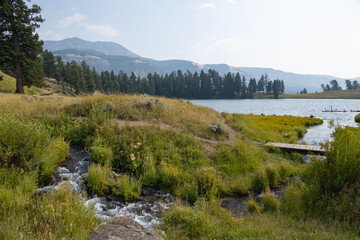 Trout Lake at Yellowstone National Park

