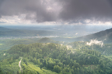 Rising fog after a summer thunderstorm in the German Black Forest