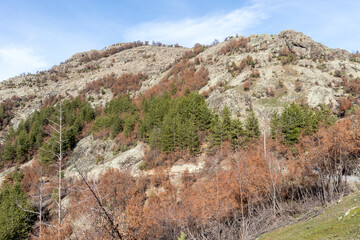 Fototapeta na wymiar landscape of Rhodope Mountains near Borovitsa Reservoir, Bulgaria