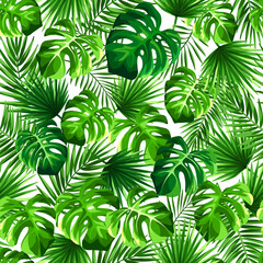 Vector tropical seamless pattern with green monstera and palm leaves on a white background. - obrazy, fototapety, plakaty