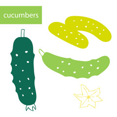 A set of vector images of cucumbers on a white background in green colors. Summer vegetables
