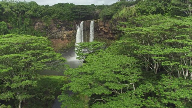 AERIAL: Flying towards a spectacular waterfall in the middle of an untouched rainforest in the heart of Kauai island. Cinematic drone point of view of a breathtaking waterfall in lush green Hawaii.