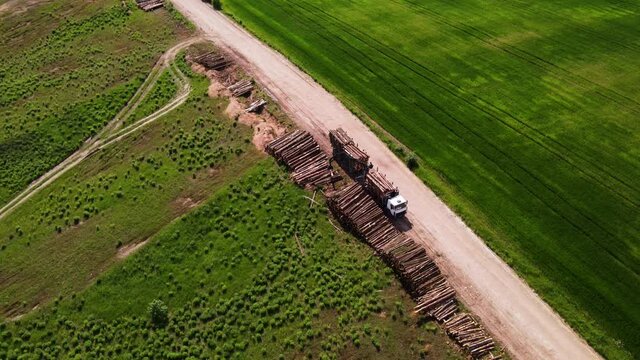 Timber truck loading a cut trees in forest. Transport raw timber from felling site. Forest harvesters and crane forwarder machine. Arial view of the clearing of plantation in forests. Logging industry