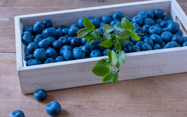 blueberries in a box on a wooden background