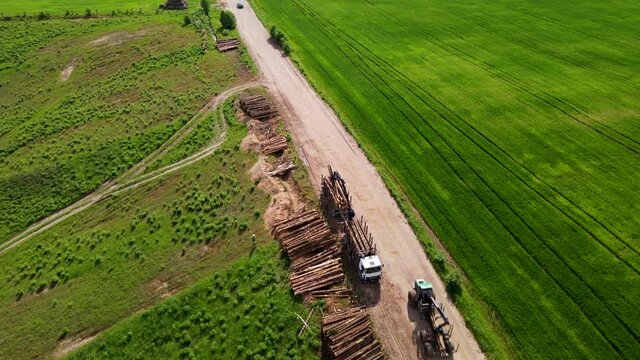 Timber truck loading a cut trees in forest. Transport raw timber from felling site. Forest harvesters and crane forwarder machine. Arial view of the clearing of plantation in forests. Logging industry