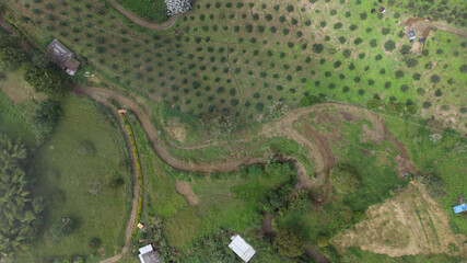 dron abocado landscape