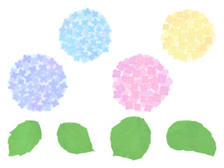 紫陽花 あじさい セット