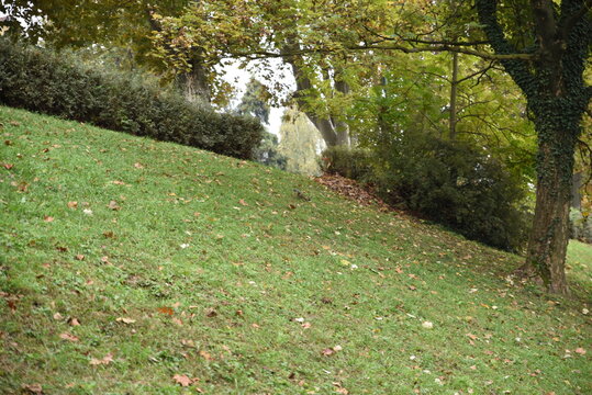 Views of Valentino Park