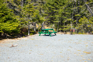 A recreation campground for RV trailers or tents. The driveway to the campground is gravel and the area is surrounded by large green evergreen trees and blue sky. There's a picnic table and firepit. 