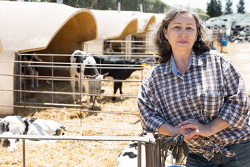 Portrait of an elderly confident woman on a livestock farm, standing at the stall with young calves