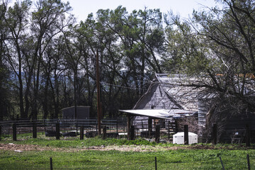 Fototapeta na wymiar Rustic Barn in the Woods 