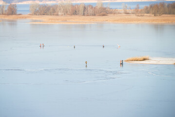 Fishermen on the ice. Winter fishing