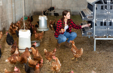 Young attractive woman farmer picking fresh eggs in henhouse © JackF