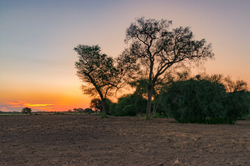 atardecer de verano en campo con la tierra arada