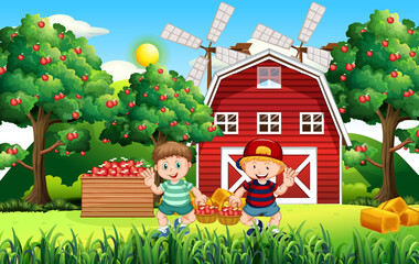 Farm scene with farmer boy harvests apples