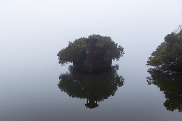 Front view of SS Ayrfield shipwreck in the fog, Sydney, Australia.