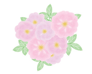 Romantic pink wild roses bouquet digital watercolor style on white