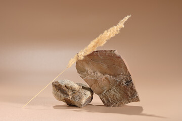 a scene for an advertising photo made of natural ingredients: sandstone stones, cossna twig and pampas grass on a beige background