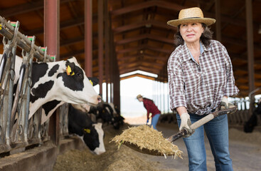 Portrait of mature positive woman farmer working in cowshed at dairy farm