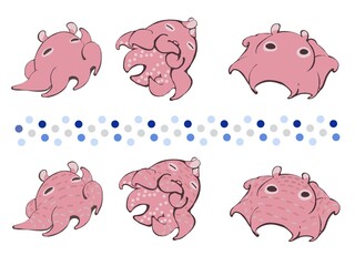 ごきげんなメンダコ