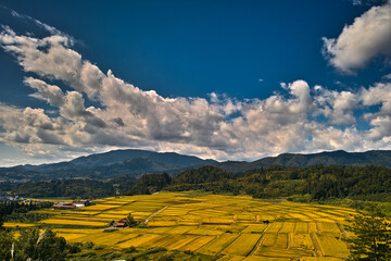 日本の棚田（山形県朝日町）
