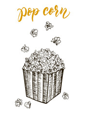 Pop corn sketch vector illustration. Fast food delicious corn icon for restaurant menu, apparel design and prints.