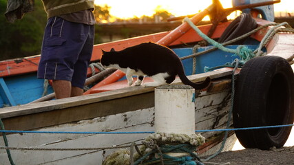 Sunset on the docks