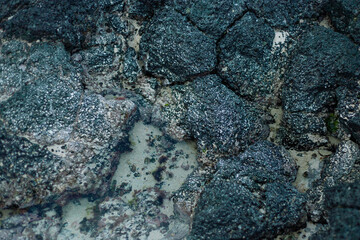 black rock in transparency water