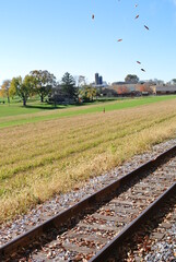 railway in the field