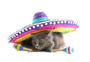 Cute cat with sombrero and maracas on white background