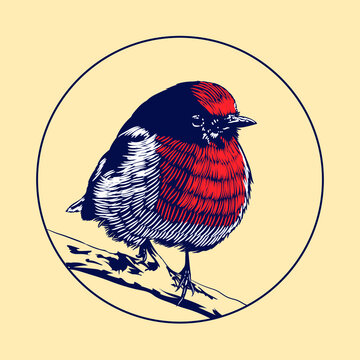 red bird perched on branch clip art preview