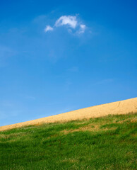 Fototapeta premium cisa