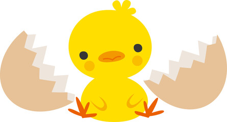 ひよこと卵の殻のイメージイラスト