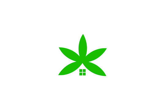 combination logo between marijuana leaf and house. logos for health, medical, cannabis therapy, etc.