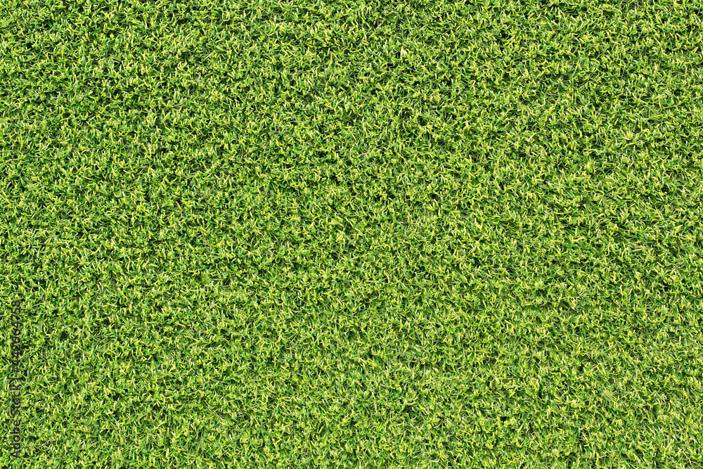 Canvas Prints top view green grass texture for background