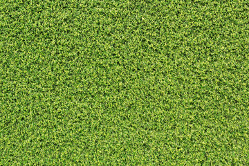 Fototapeta premium top view green grass texture for background