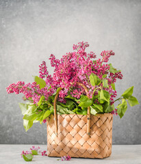 Bouquet of colorful lilac flowers in a wicker basket. Spring summer concept. Floral, interior, nature