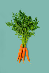 Fresh spring baby carrot with haulm