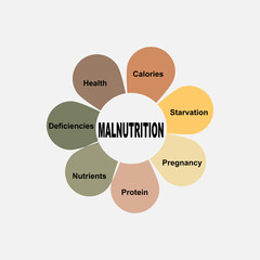 Diagram concept with Malnutrition text and keywords. EPS 10 isolated on white background